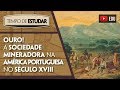 Ouro! A sociedade mineradora na América Portuguesa no século XVIII | Tempo de Estudar | História