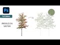 ÁRBOL EN VECTOR / ÁRBOLES EN ILLUSTRATOR