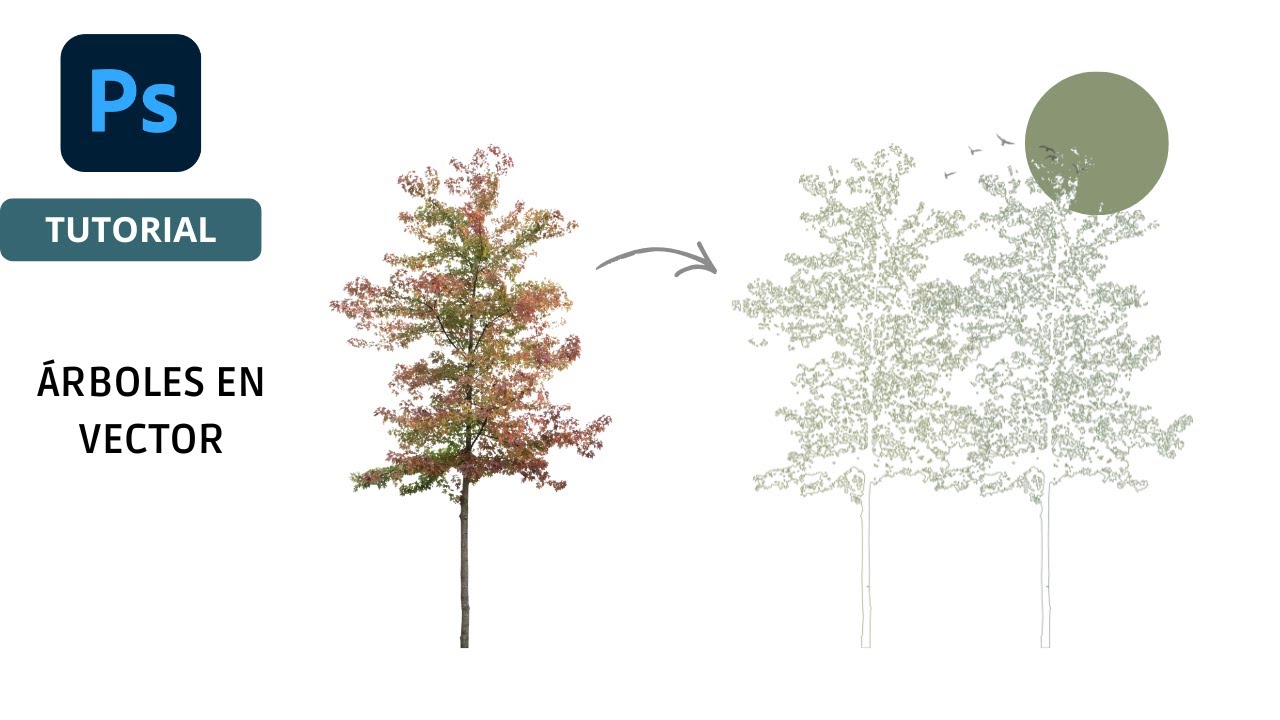 ÁRBOL EN VECTOR / ÁRBOLES EN ILLUSTRATOR