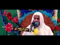 يا سائلي أين حل الجود والكرم طور حجازي 1435 شيخ كاظم سعيد يا سائلي أين حل الجود والكرم طور حجازي 1435 شيخ كاظم سعيد