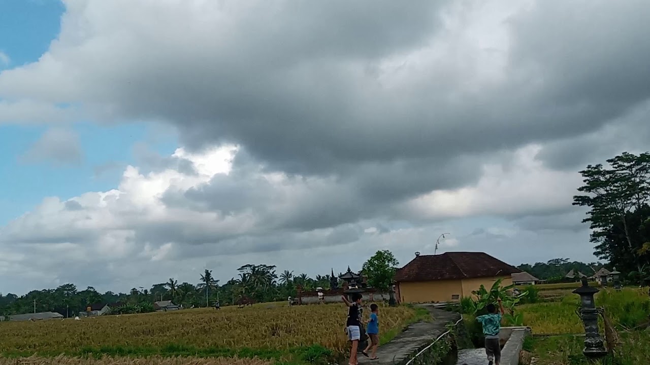 Bahagianya Anak  Anak  Main  Layangan Di  Sawah  2 YouTube