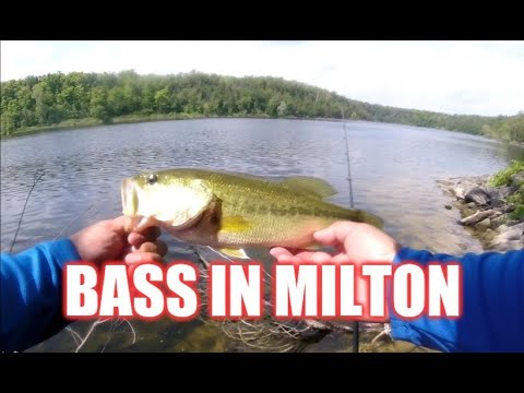 Fishing in Milton - Hilton Falls Reservoir 
