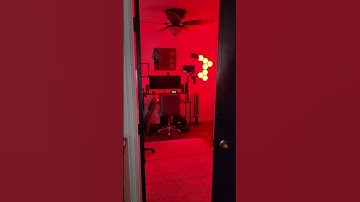 Something is wrong with Alexa.