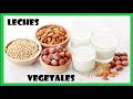 Leches Vegetales - Tipos Y Beneficios || Todo Lo Que Debes Saber!!!