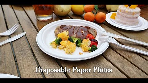 100% Compostable 9 Inch Paper Plates [125-Pack] Heavy-Duty Plate, Natural Disposable Bagasse Plate,