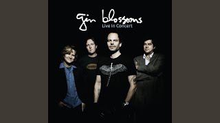 Video thumbnail of "Gin Blossoms - Until I Fall Away"