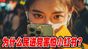 民进党为什么害怕小红书？从“安全限制”看台湾互联网监管：小红书300万用户受阻真相。2025年台湾互联网双城记：从美国年轻人涌入到台北一刀切