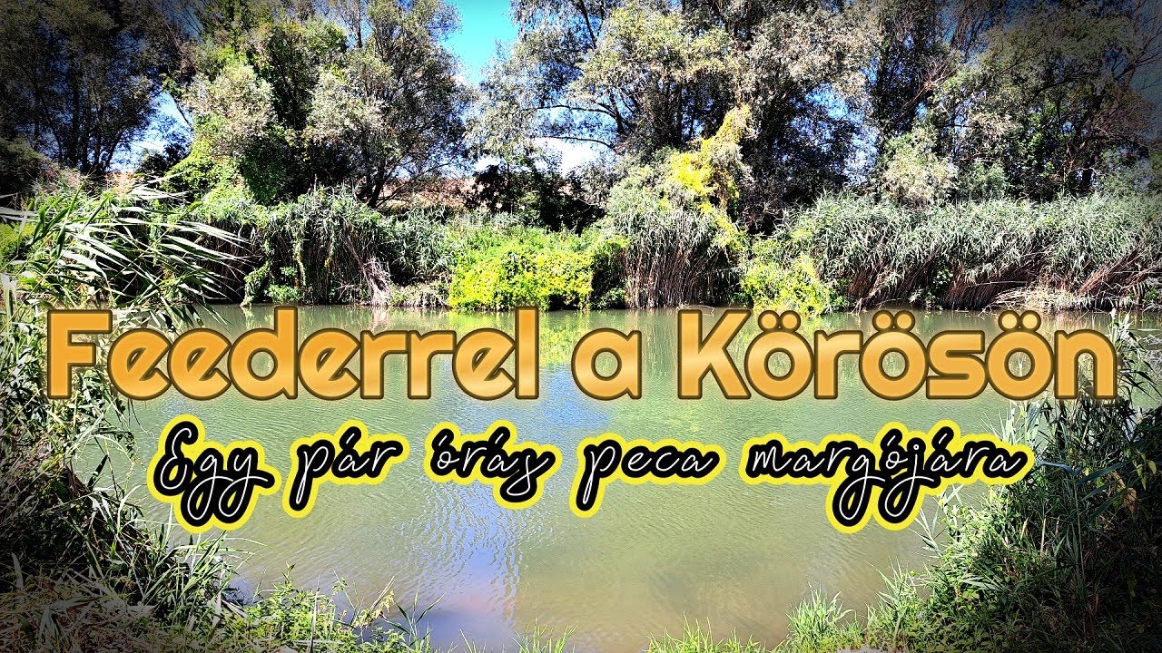Feederrel a Sebes Körösön