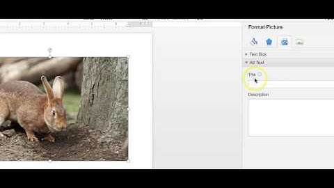 Adding alt text to an image in Word for Mac