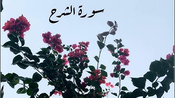 سورة الشرح  بصوت الشيخ ادريس ابكر