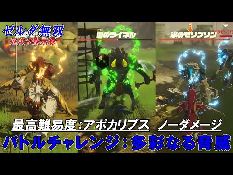 ゼルダ無双 厄災の黙示録 & 釣りスピリッツ ゼルダ無双 厄災の黙示録｜Nintendo Switch｜任天堂