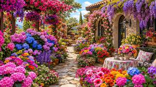 🌹 Secret Garden Tour: Easy Ways to Transform Small Spaces into Beautiful Escapes