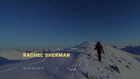 Minimal Lower Thirds | After Effects Elements - Envato elements