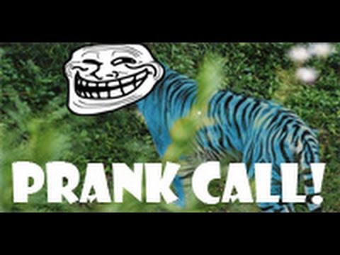 prank-call