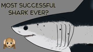 The Ancestor of the Great White and Megalodon @Sharktoz