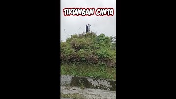 TIKUNGAN CINTA🇮🇩Pasir Putih~Kotaraya🇮🇩