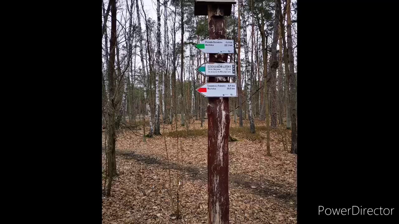 Puszcza Kampinoska szlak  Dziekanów Leśny - Truskaw