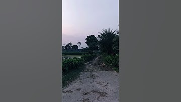 تلاوة تبعث السكينة في القلب🕊️💚🥀 #القزابري #nature