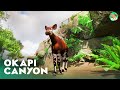Okapi Canyon Habitat - Planet Zoo Lets Play Franchise Mode - Casa de la Tierra