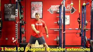 1 hand DB Diagonal shoulder extensions standing
