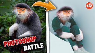 Best Photoshop Battles Compilation - Reddify Rphotoshopbattles