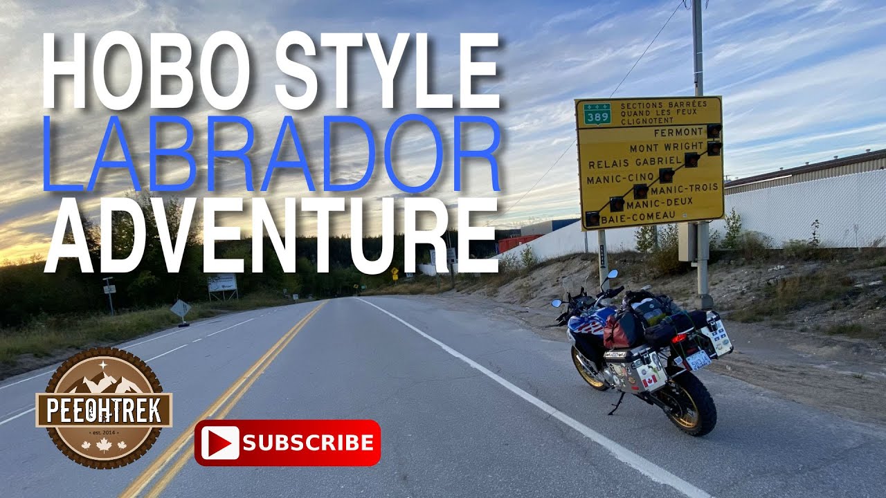 Приключения лабрадора в стиле бродяги, часть 1.