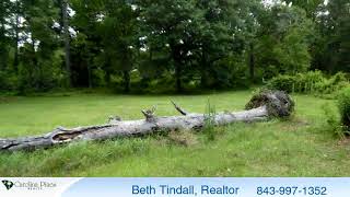 Lots And Land for sale - Parcel H Hill St., Conway, SC 29527
