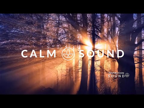 Calm Music for Anxiety | Study | Focus | Meditation 1 Hour of Stress Relief