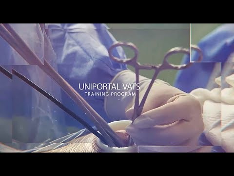 Uniportal VATS training in a high volume center: 13000 resections per year