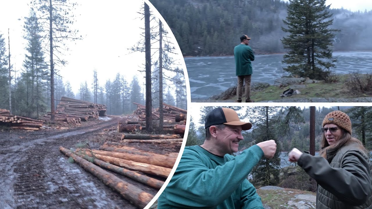 Уютная зимняя лесная дорога | Лесовозные дороги, тихие леса и размышления о местах обитания Бигфута