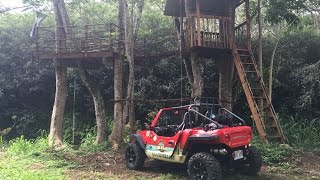 Off Road Dune Buggy Tour By Aloha Buggies