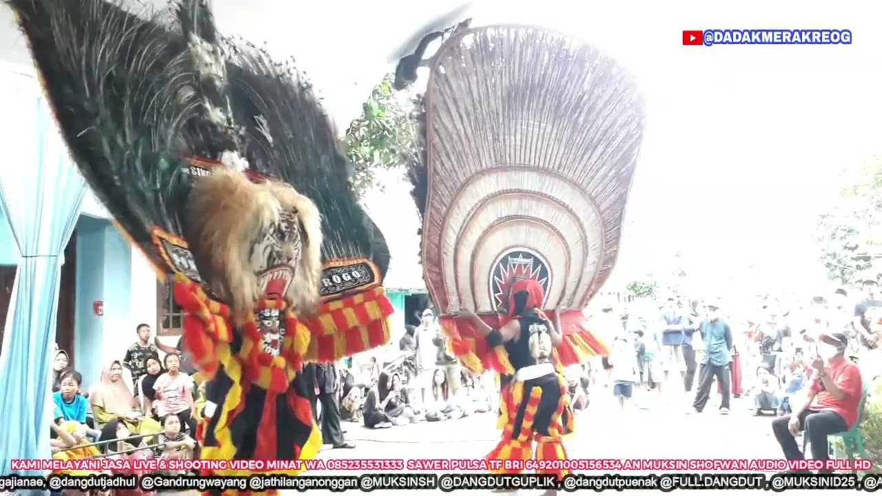 TARI DADAK MERAK NUR KERUK REOG SINGO BAKTI MUDO LIVE DESA BUDUG KWADUNGAN NGAWI TG 09 02 2026