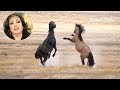 سميرة توفيق بين العصر والمغرب Samera Tawfiq سميرة توفيق بين العصر والمغرب Samera Tawfiq