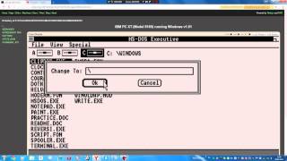 Destroying Windows 1,01