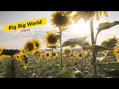 Big Big World 大千世界 / Emilia [ 中英歌詞 ]