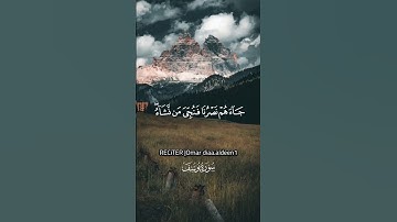 بدون مؤثرات تلاوة هادئة مريحه 🥺🤍 #القرآن_الكريم #holly_quran #تلاوة #راحة_نفسية #عمر_بن_ضياء_الدين