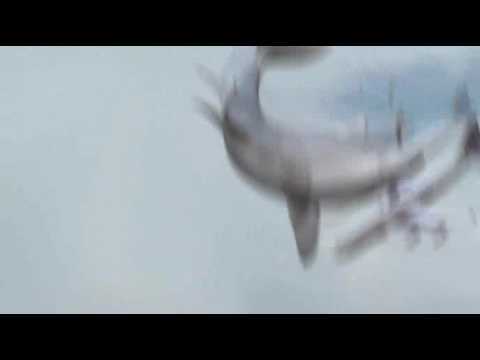 Mega Shark VS Giant Octopus - The Plane
