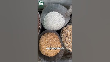 Nhược điểm của vỏ trấu tươi là gì ? #shorts