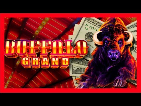 UNBEILEVABLE WINS on BUFFALO GRAND SLOT MACHINE BONUSES! SLOT MACHINE HUGE WINS With SDGuy1234! - 동영상