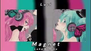 Magnet (Slowed   Reverb)
