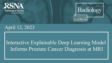 Interactive Explainable Deep Learning Model Informs Prostate Cancer Diagnosis at MRI