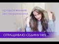 Отращиваю седину. Продолжение эксперимента. №2