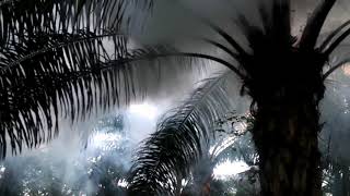 เครื่องพ่นหมอกควัน VECTRON TF 95 4 เอ็นริช ฟ็อกเกอร์ ENRICHFOGGER