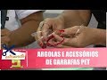 Transforme garrafas pet em argolas e acessórios com artesã Julia Quintas - 05/03/20