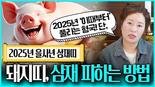 2025년 삼재띠 돼지띠가 '삼재' 피하는 최고의 방법 '이것'만 기억하고 조심하자!? 삼재띠 돼지띠 완벽분…