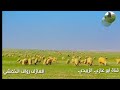 جرة ربابه بالله ماعينت ياحمود شوقي اداء العازف رواف الخمشي