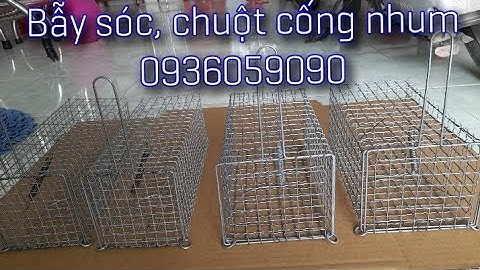 Bán bẫy sóc, bán bẫy chuột cống nhum, bán lồng sóc bông, bán lồng sóc 0936059090, ship toàn quốc.