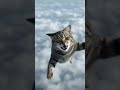 #trending #cute #love #ai