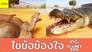 จระเข้กินเต่าได้ไหม - Planet Zoo (Special Part)