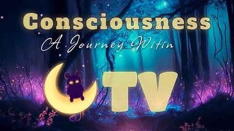 Exploring the Mysteries of Consciousness: A Journey of Discovery | Mindfulness Documentary 2023 | TV